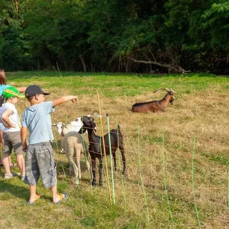 Camping 4 Etoiles - Parc Aquatique - Ccaadeh